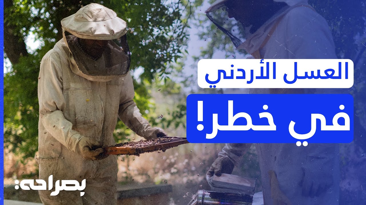 واقع تربية النحل في الأردن: بين غياب التتبع والتحديات التشريعية - بصراحة