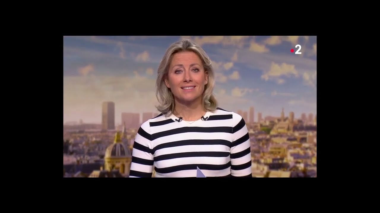 Journal de 20h sur France 2  - Le projet rockwool à Soissons Courmelles