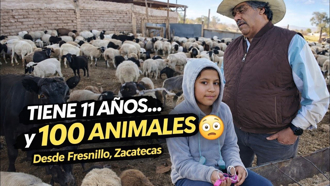 Tiene 11 años y cuida más de 100 animales en Fresnillo, Zacatecas. La historia de Victoria Hernández