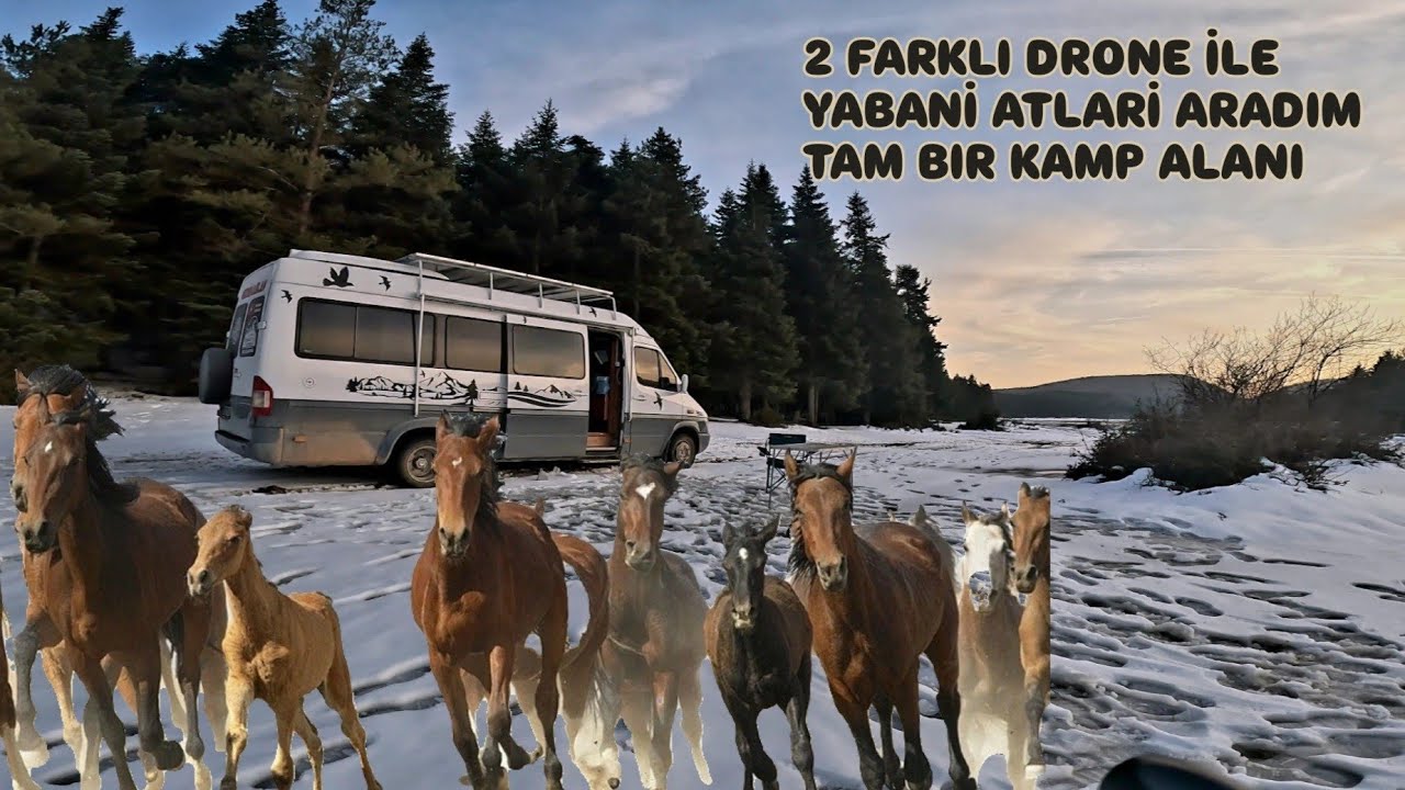 AT YAYLASI KIŞ KAMPI TAM KAMP YERİ