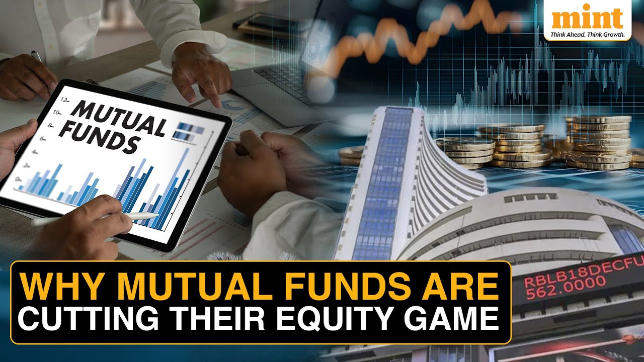 Why Mutual Fund Inflows In Indian Equities Dropped By 22% In Just One Year | All You Need To Know