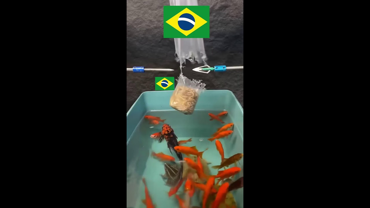 Cada Like é uma Flecha no Pacote