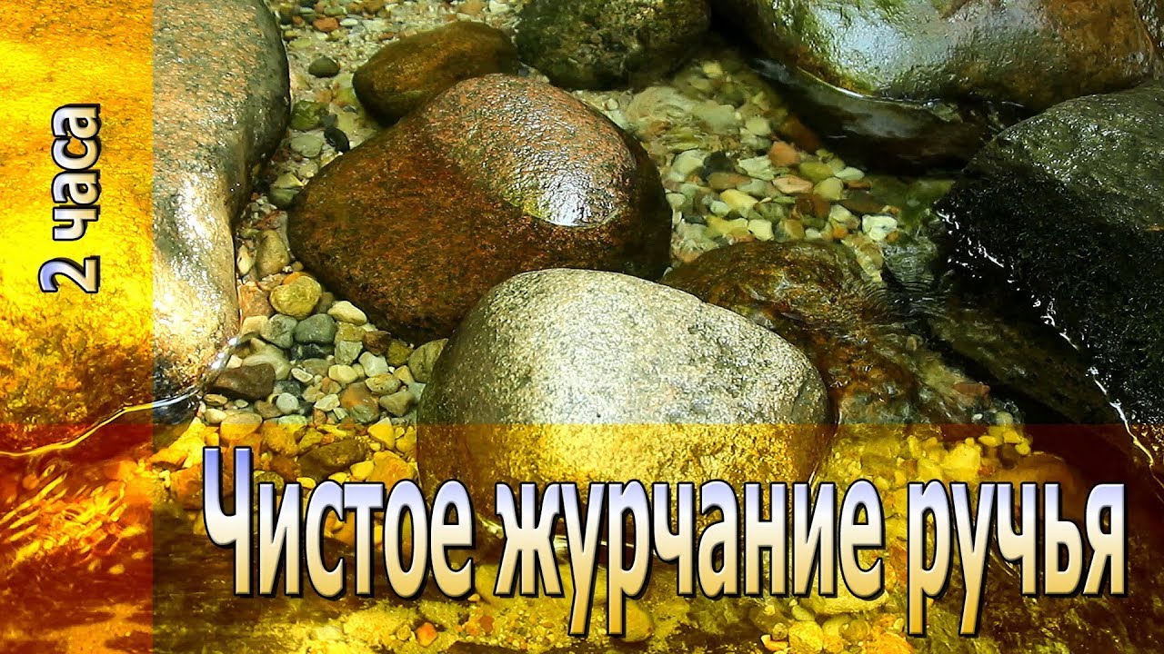 Чистое ЖУРЧАНИЕ ручья // @ТИШИНА the Silence