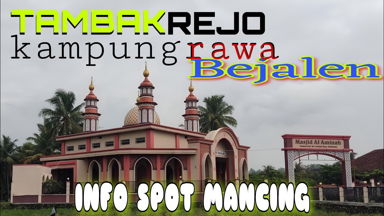 BISA SEWA PERAHU JUGA ‼️ INI RUTE SPOT MANCING TAMBAKREJO PINGGIRAN RAWAPENING AMBARAWA