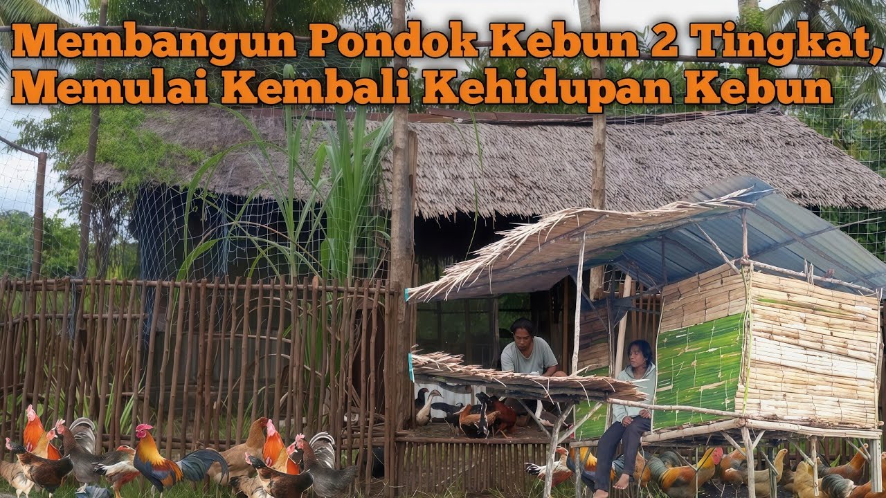 Membangun Pondok Kebun 2 Tingkat, Memulai Kembali Kehidupan Kebun Setelah Banjir