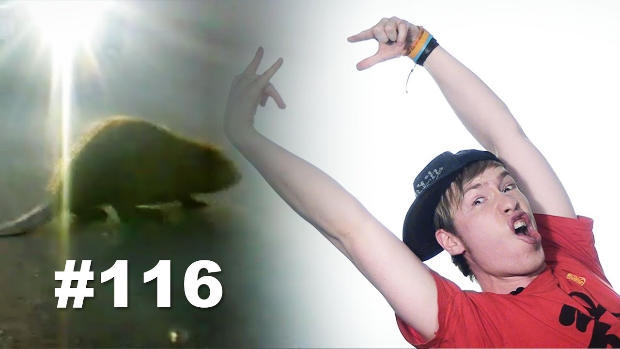 This is Хорошо - Это бобёр! ^v^ [This is beaver!]