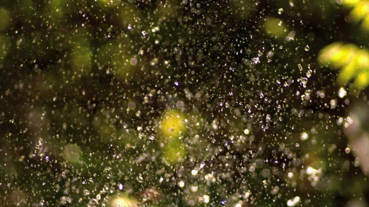 THE INVISIBLE 'SPIRAL'