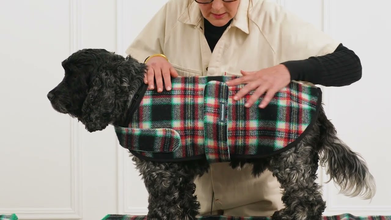 How to Adjust the Fit of your Houndsome&reg; Dog Coat