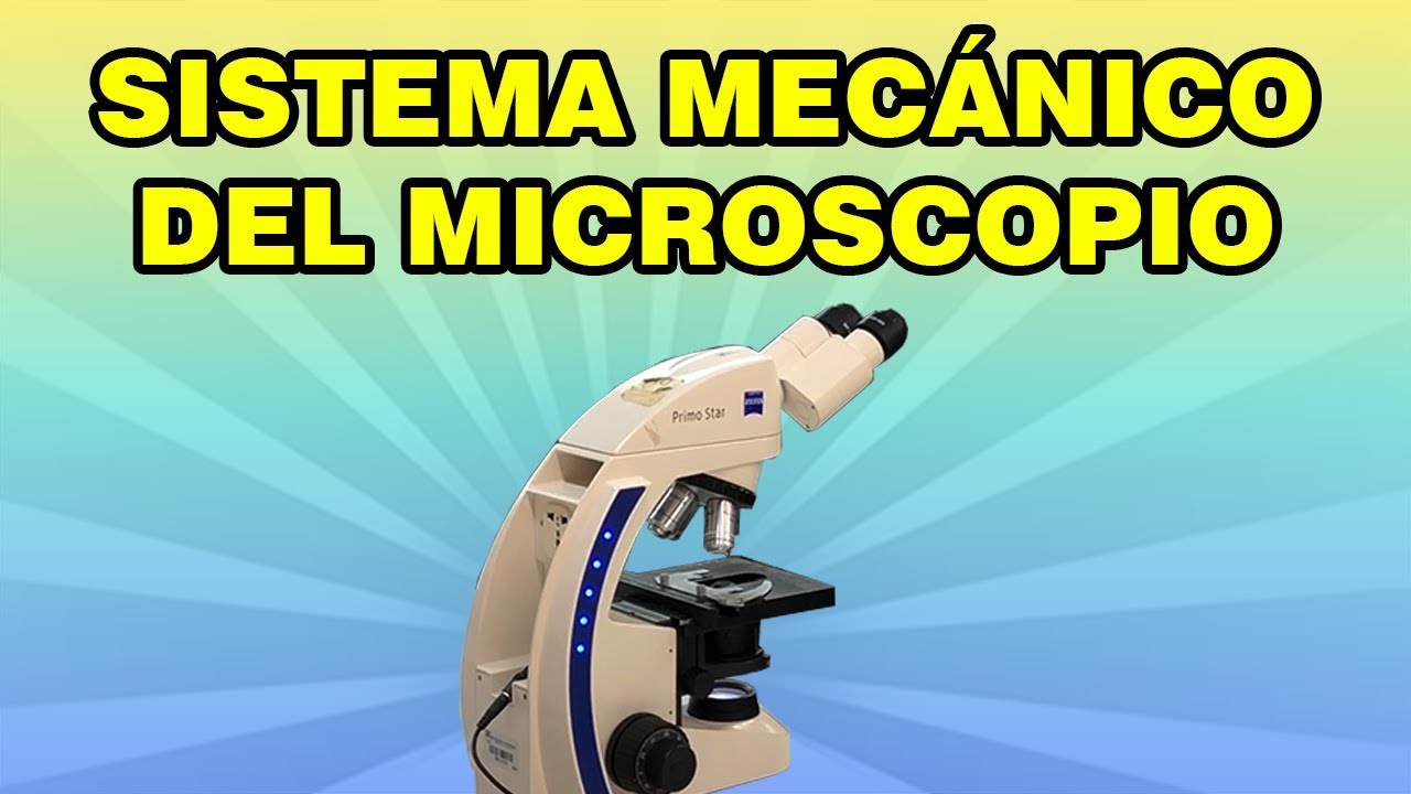 El Sistema Mecánico del Microscopio Compuesto
