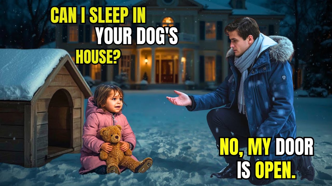 Poor Girl Begged a Millionaire to Sleep in a Doghouse — His Answer Shocked Everyone