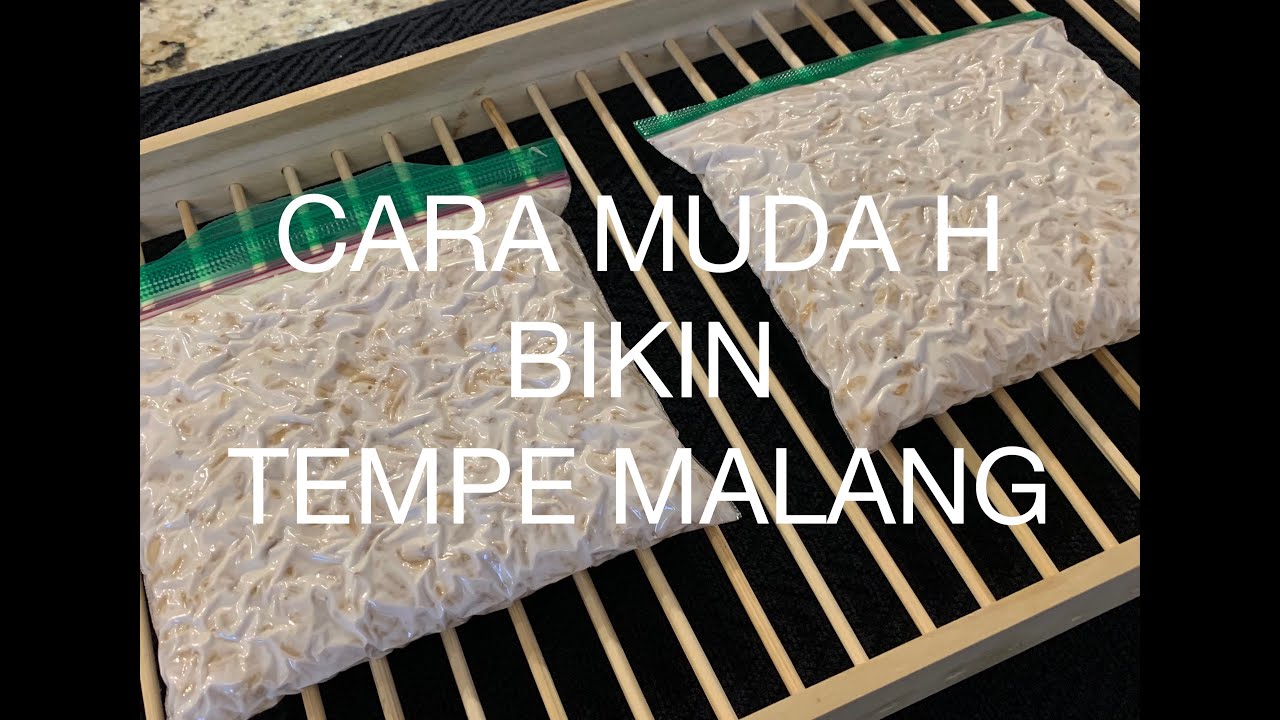 Cara Mudah Membuat Tempe Malang