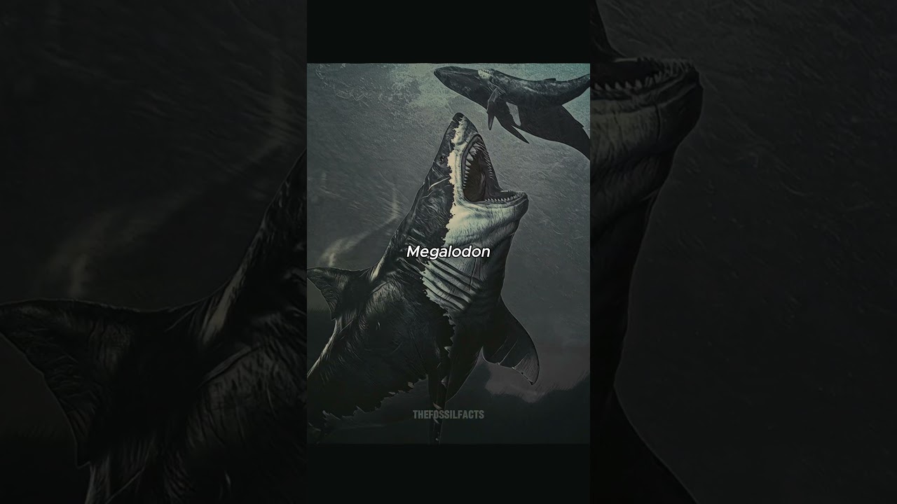 Forget Dinosaurs&hellip; These 5 Were Worse 😳  #prehistoricanimals #dinosaur