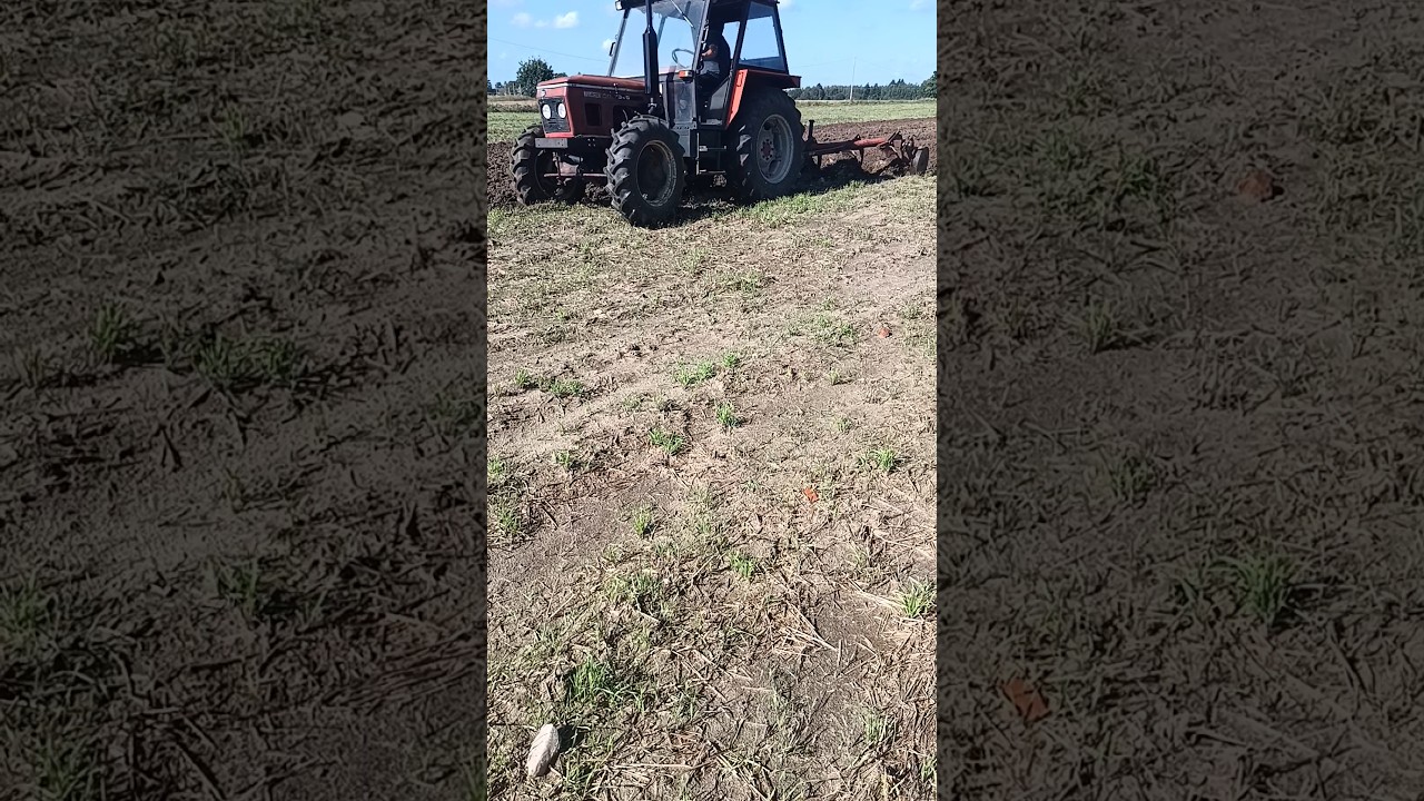 ORKA ZETOR 7045 PŁUG KVERNELAND 4 SKIBOWY #rolnictwo #udostępnij #farmer #ładowarka #automobile