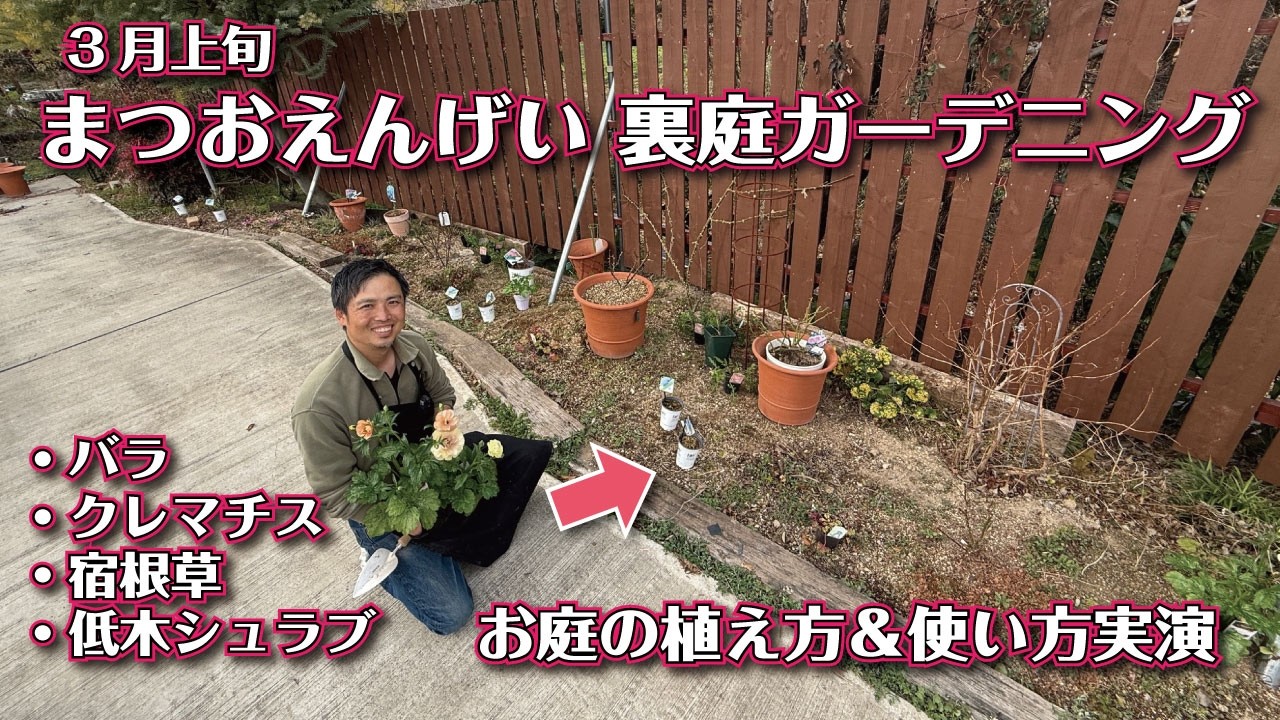 春に向けて、バラ　クレマチス　宿根草　低木シュラブ　などなど植えて行きます！