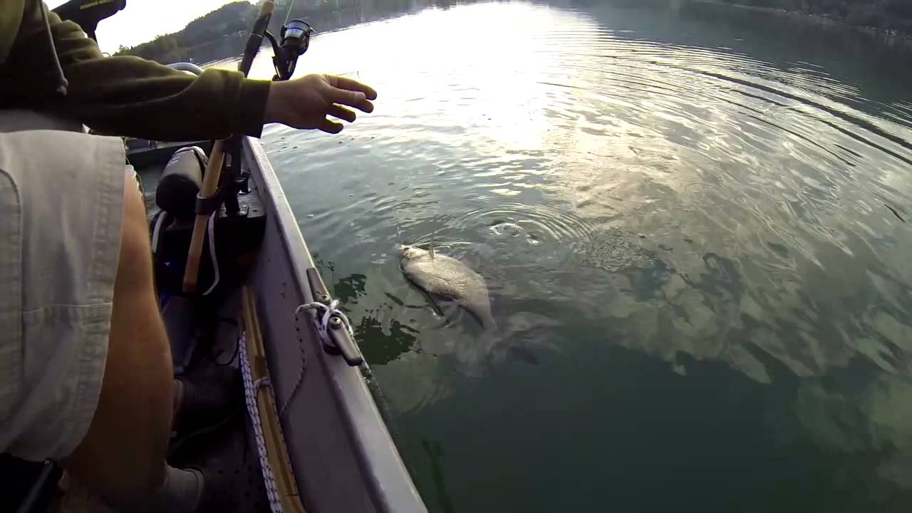 Fischen am Keutschacher See
