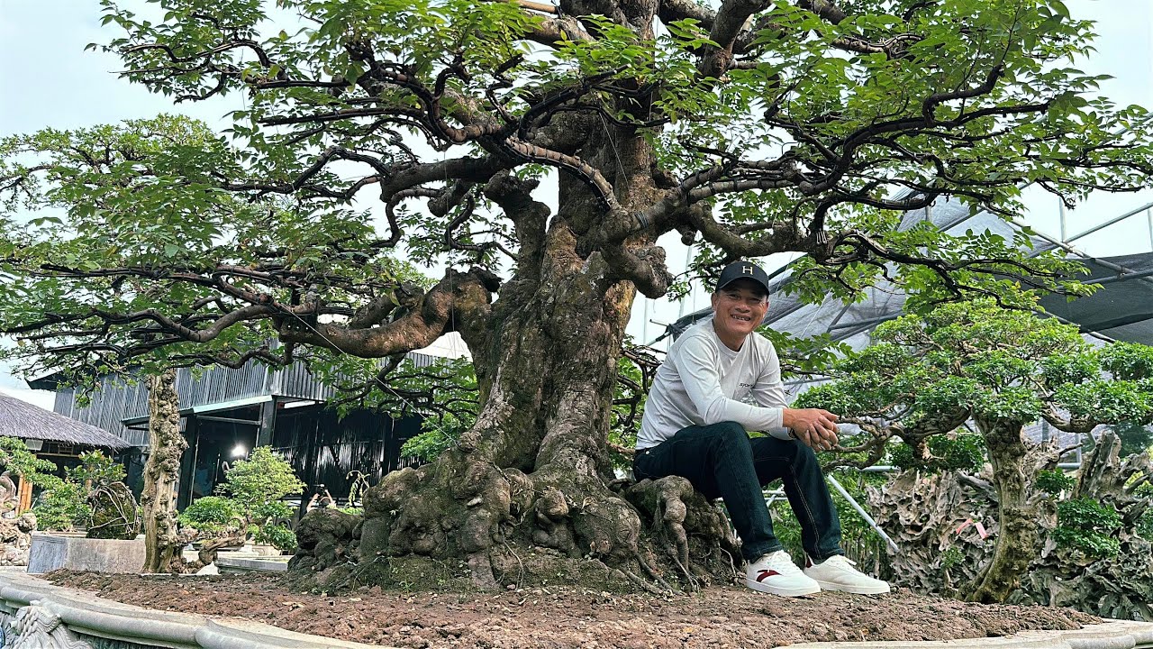 ANH NAM LÊ CHƯA TỪNG GẶP BAO GIỜ ! Một số cây độc đáo tại nhà vườn Bill Nguyễn | Quảng Tùng