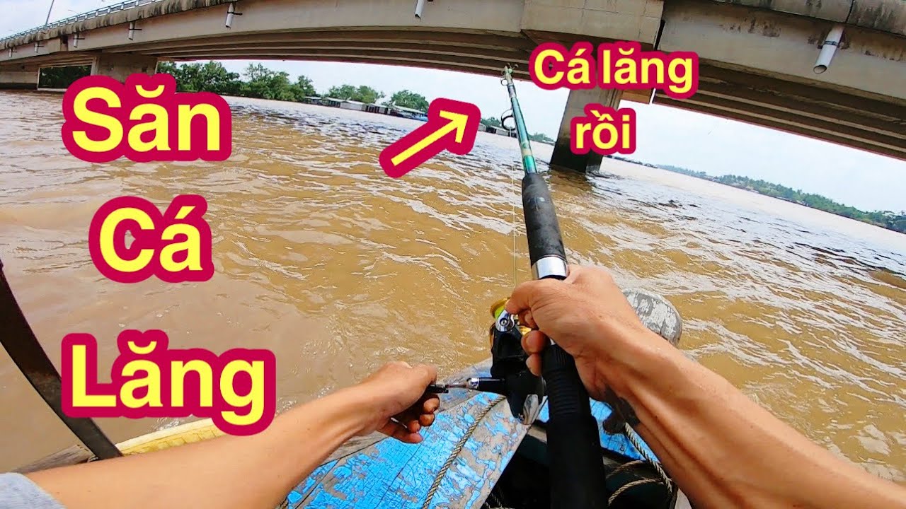 Săn Cá Lăng Đuôi Đỏ Cầu Rạch Miễu Có Con Cá Kể Chưa Thợ Săn Nào Chinh Phục Được @Xuanthuong91