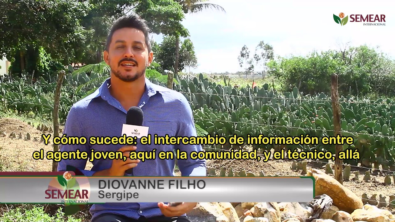 Projeto Dom T&aacute;vora - v&iacute;deo 03 - legendas em espanhol