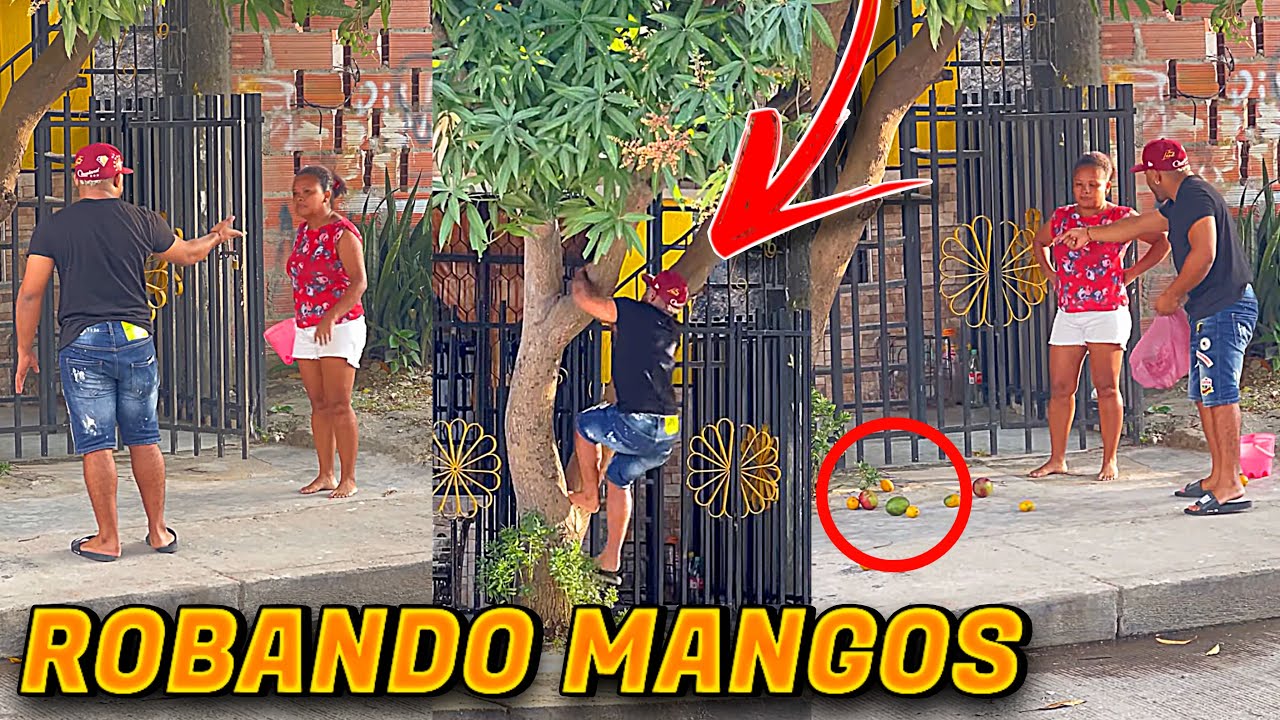 Me DESCUBREN ROB4ND0 MANGOS 🥭 | Camilin TV