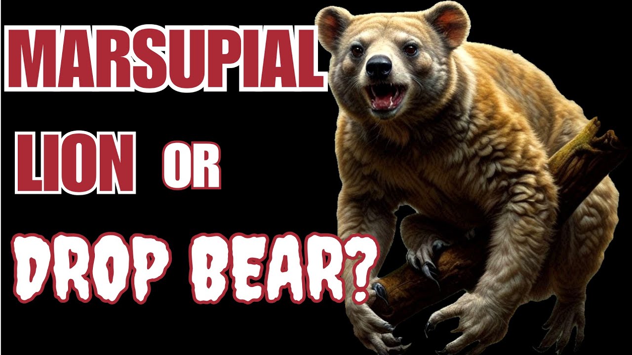 Did the marsupial lion attack its prey from the trees?