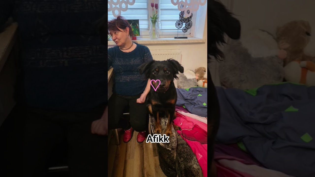 muj pisia afikk