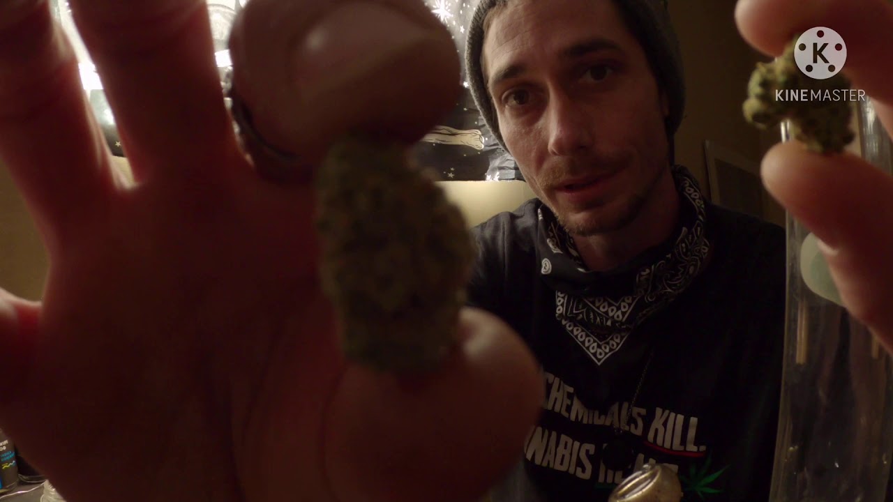 2021 NEW Cannabis Reviews Ep1(530 Banana Macaroon & 530 Silver OG) Where is the FIRE?