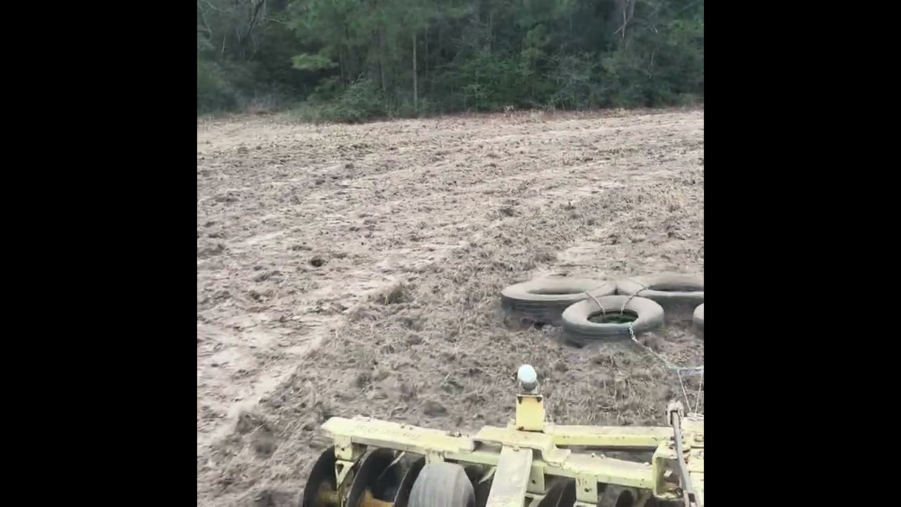 Repairing the wild hog damage full video #agriculture #kubota #wildhogs #farming #discharrow 