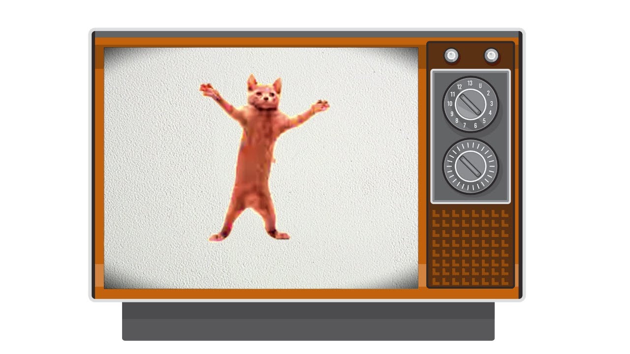 Cat dance meme : Cat dancing to Low Quality Funky Town