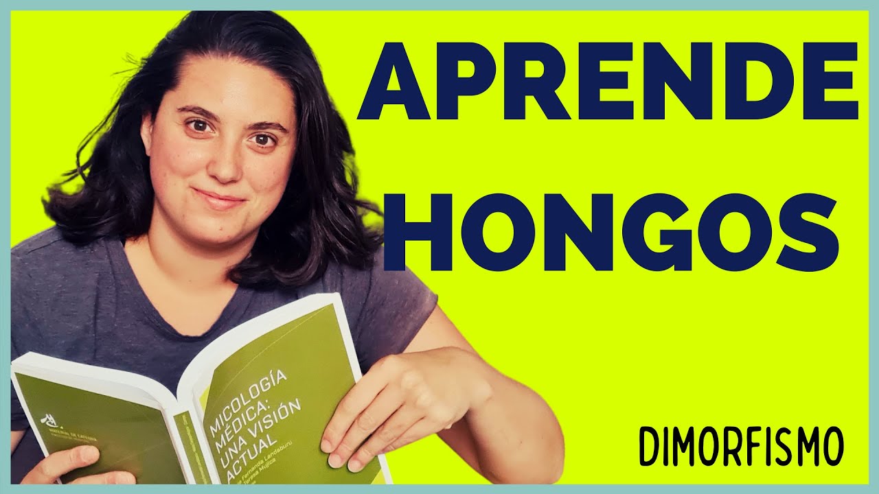 DIMORFISMO FUNGICO | GENERALIDADES DE HONGOS | MICRO CON LUA