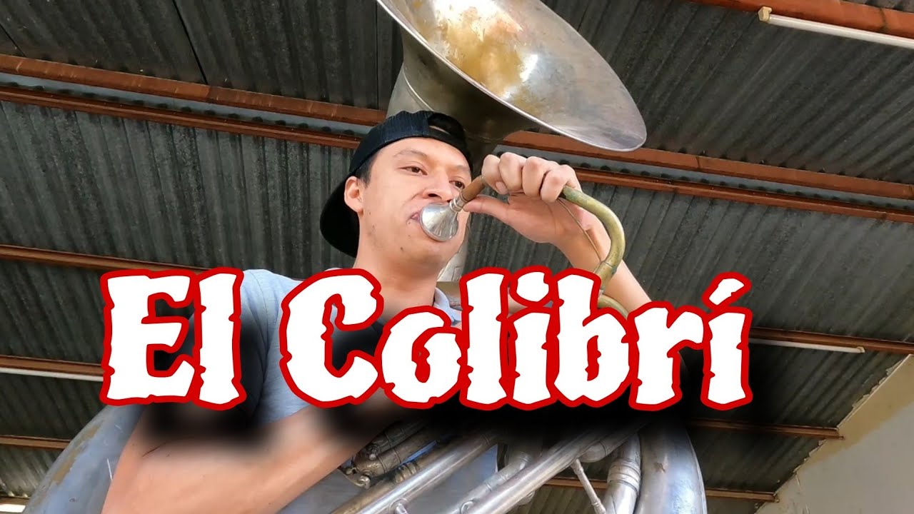 EL COLIBRI CON TUBA | Diego Medina