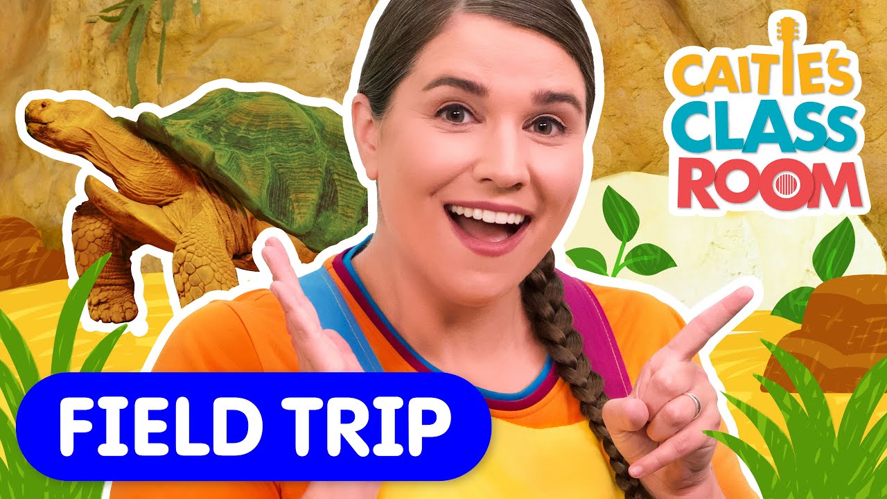 Let’s Learn About Reptiles 🐍 | Meet a Tortoise! | Learn Adjectives! | Super Simple Play