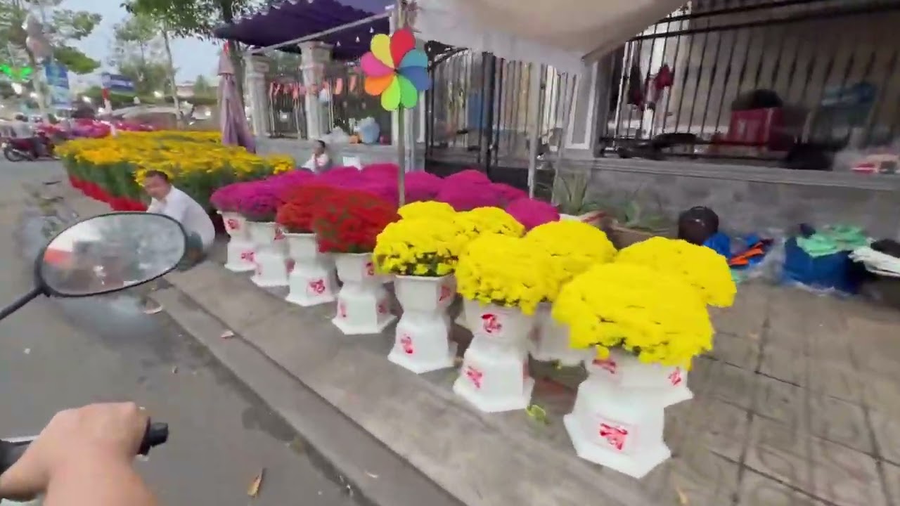 Chợ hoa Thủ Dầu Một 25 AL