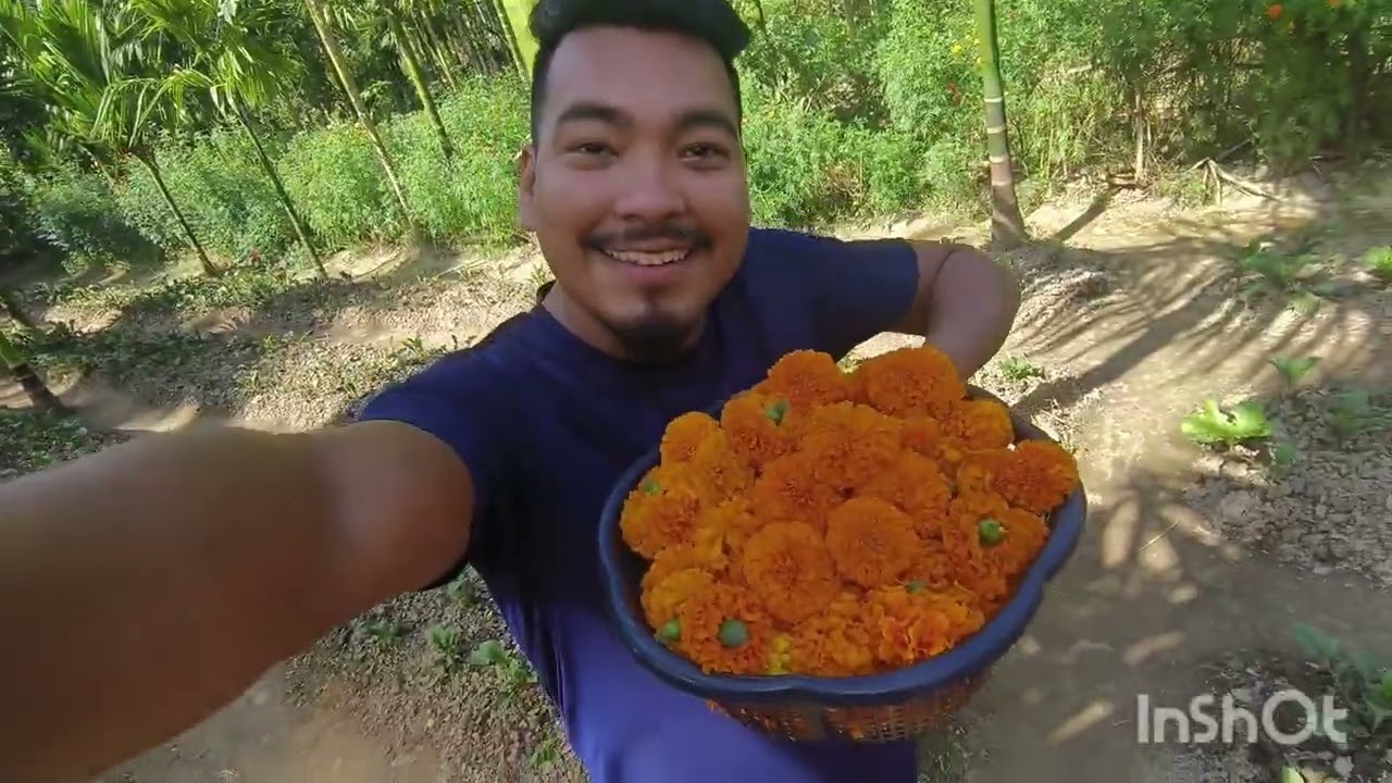 Now earn monthly RS 200000 by cultivating marigold flower .
