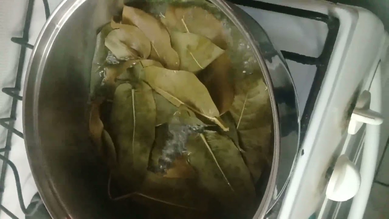Proyecto Gomitas de Eucalipto