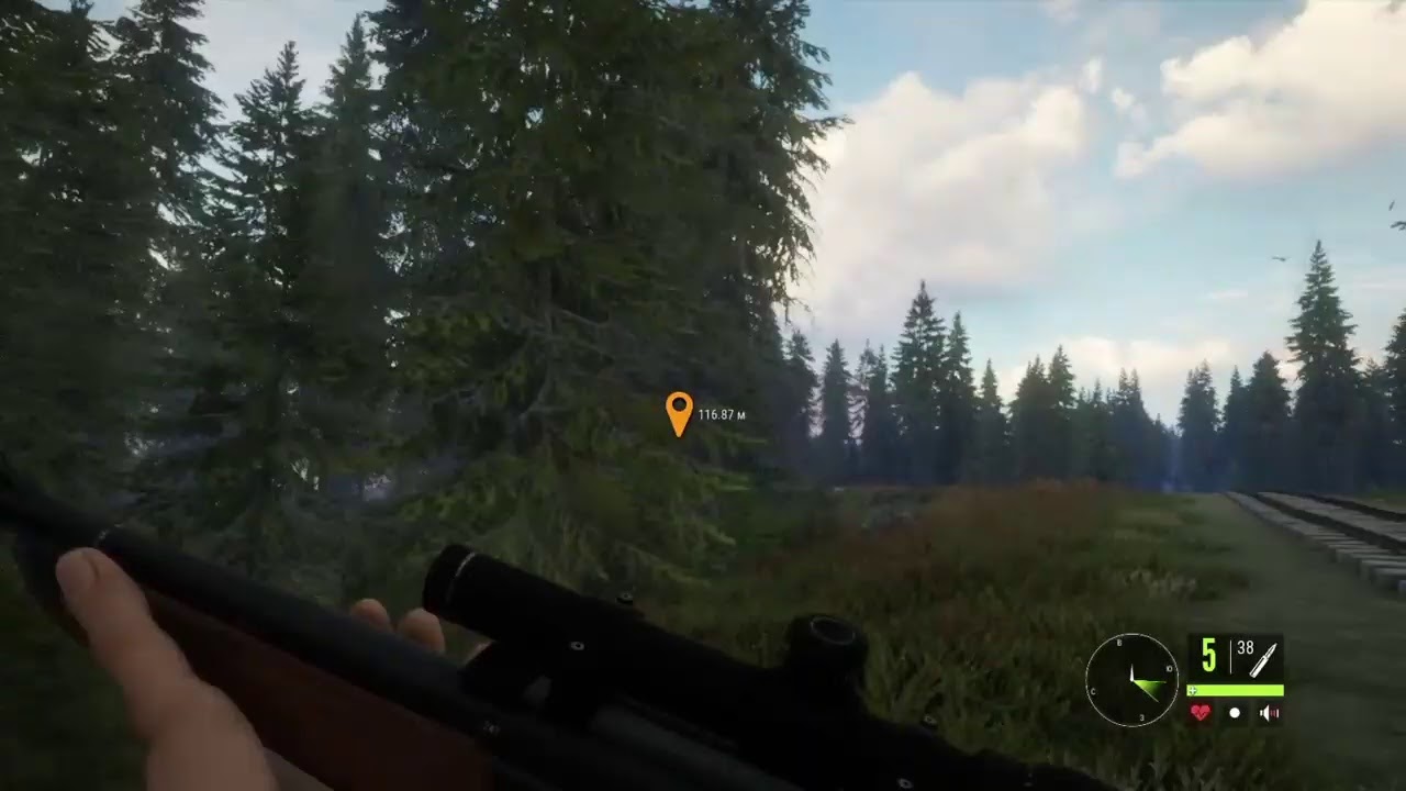 the Hunter. Call of the wild #3. (21.02.2021) Начало охоты.
