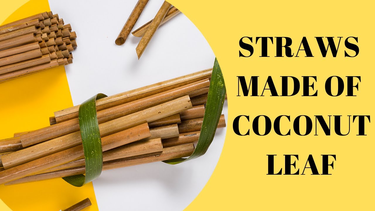 STRAWS MADE OF COCONUT LEAF #innovation #sustainableliving #greentech #curiousminds #viralvideo