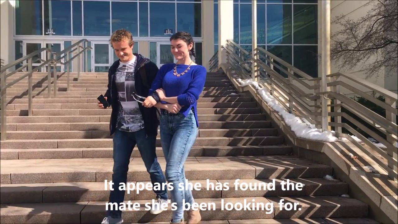 How To Attract A Mate At BYU - a Parody on Mormon Dating