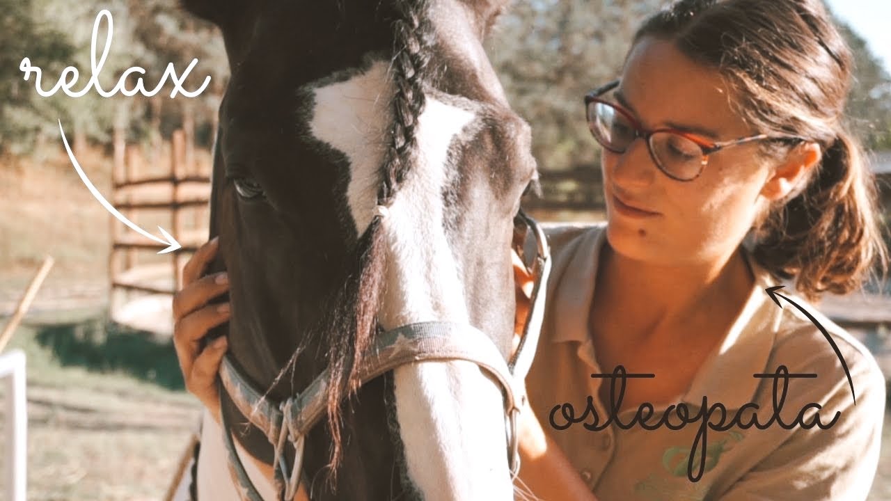 PRIMA SEDUTA OSTEOPATICA PER IL MIO CAVALLO 🐴 ||GS||