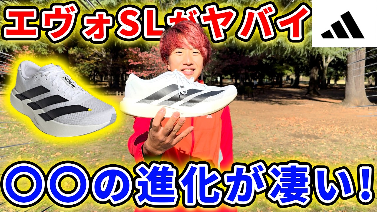 【最新作】AdidasのエヴォSLが凄すぎる…！！