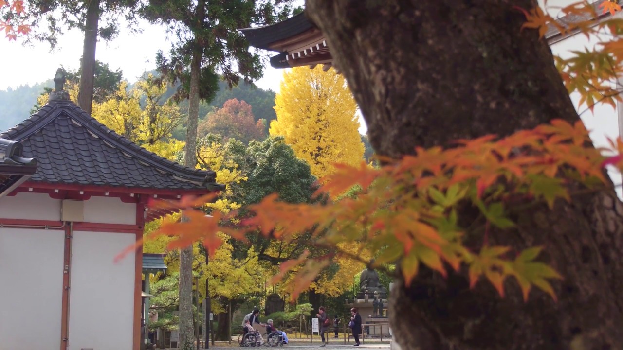 岡山県久米南町 誕生寺 空撮