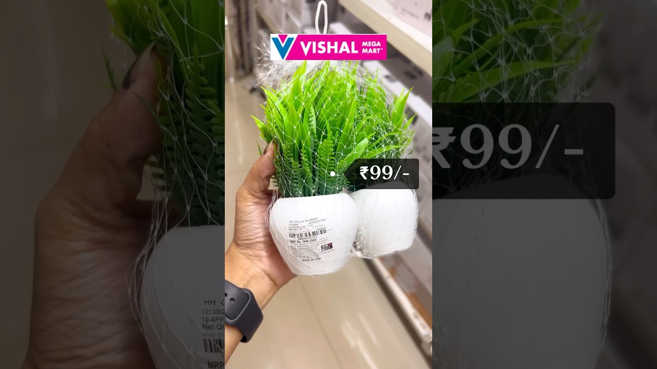 Here’s all I got from Vishal Mega Mart 