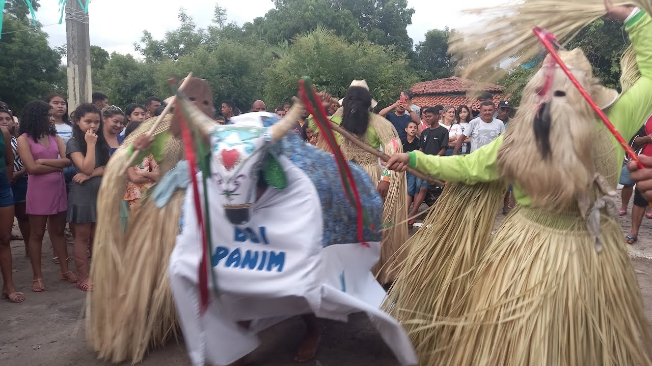 Reisado de Boa Hora Boi Panim❤️