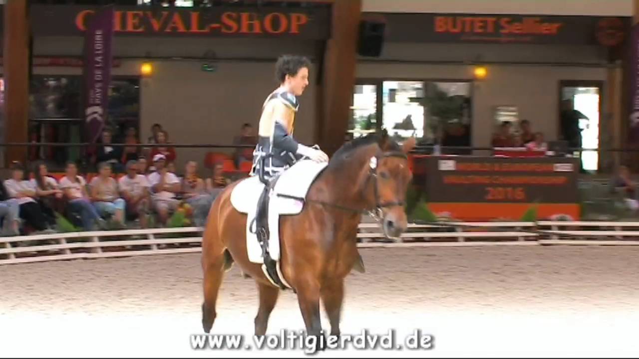 Atholl Pettinger (GBR) - Male 07 - FEI Junior EC Le Mans 2016