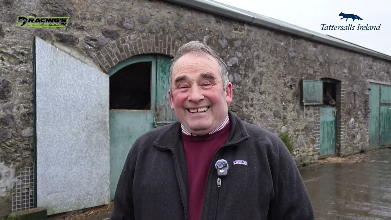 Фергал Дункан из Tornanstown Lodge предлагает лоты 63 и 104 на предстоящей зимней распродаже Tatt...