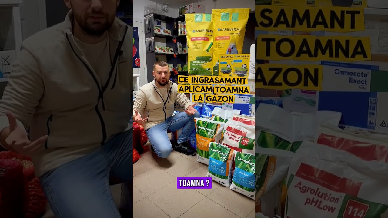 🌱 Ce ingrasamant aplicam la gazon toamna ? ✅