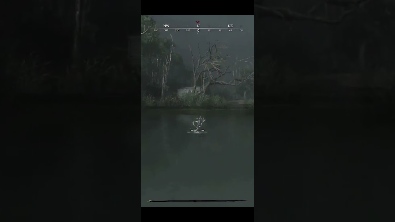 new bug Floating hammer on water #bug #newbug #clips #highlights #bestmoments #moments #bugs