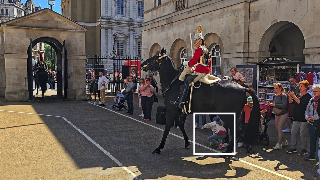 KIDS ARE ALMOST TRAMPLED BY THE HORSE as PARENTS are not paying close attention at Horse Guards!