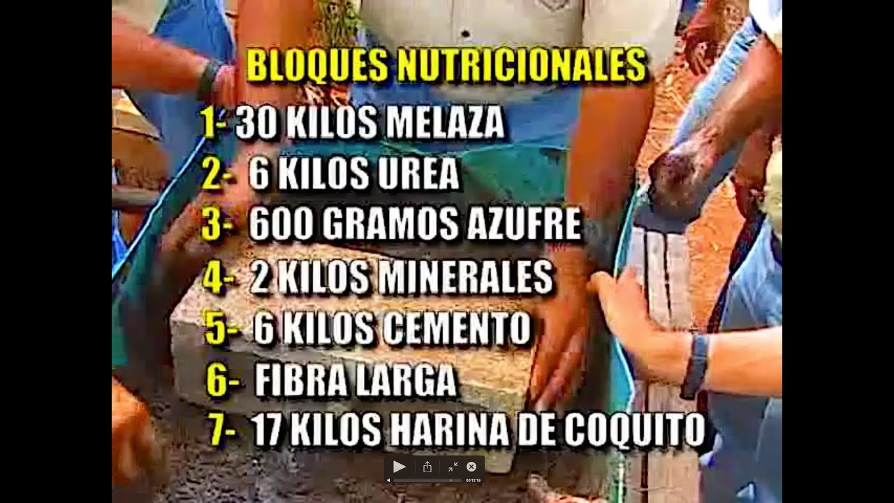 Bloques Nutricionales