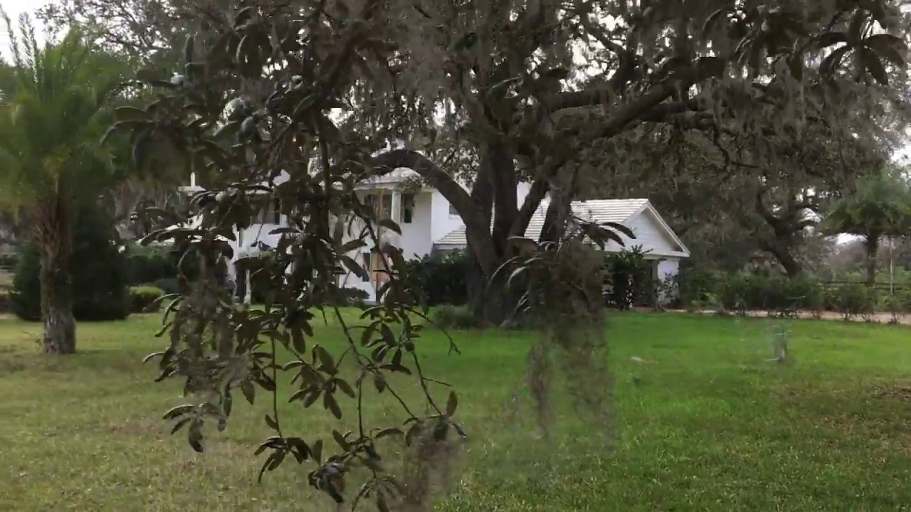 Randy Rhoads Final Flight - Flying Baron Airstrip Leesburg, FL pt2