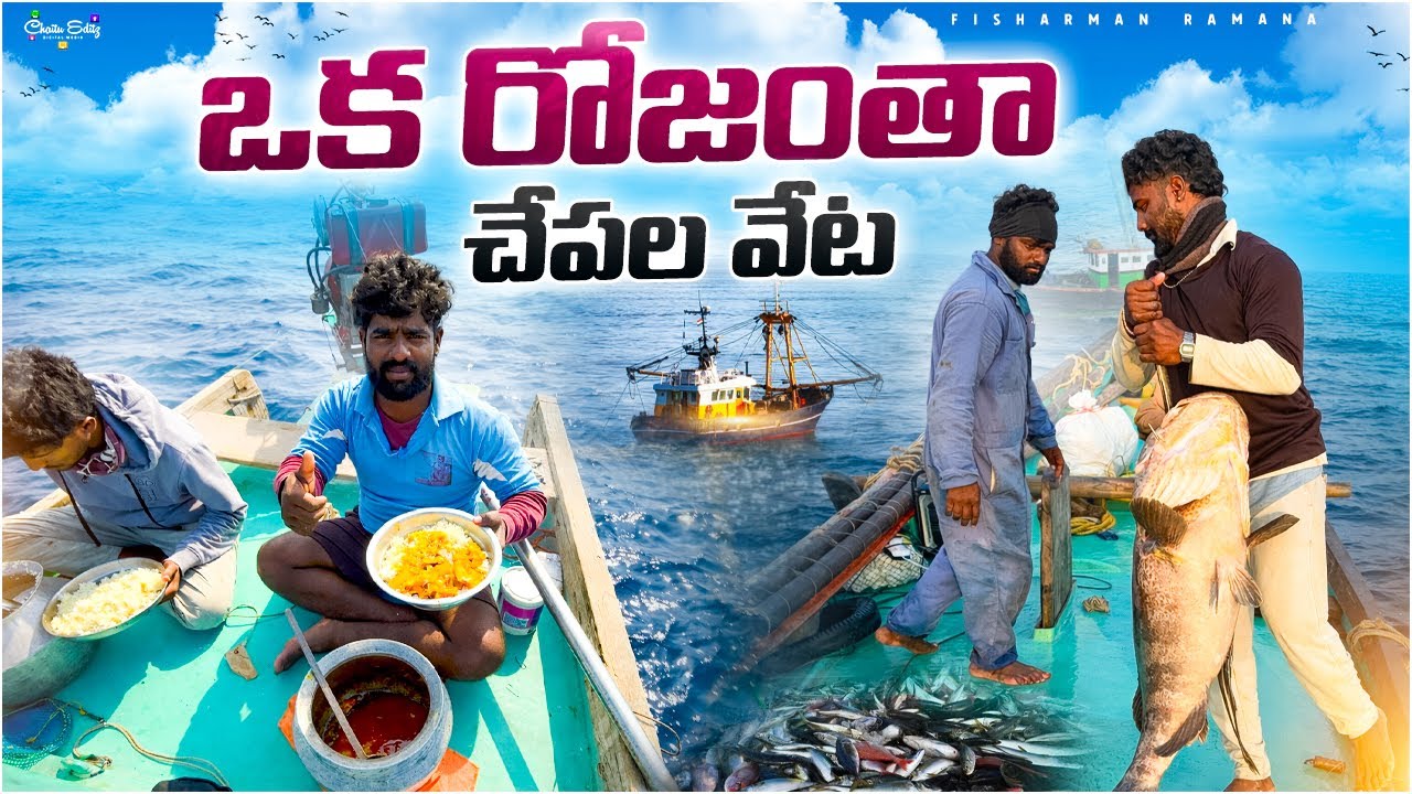 #fish #Fisherman #🌊🌫️ #beachfishing #fishing #fishingmethods #fishingtechniques #fishing #fishing